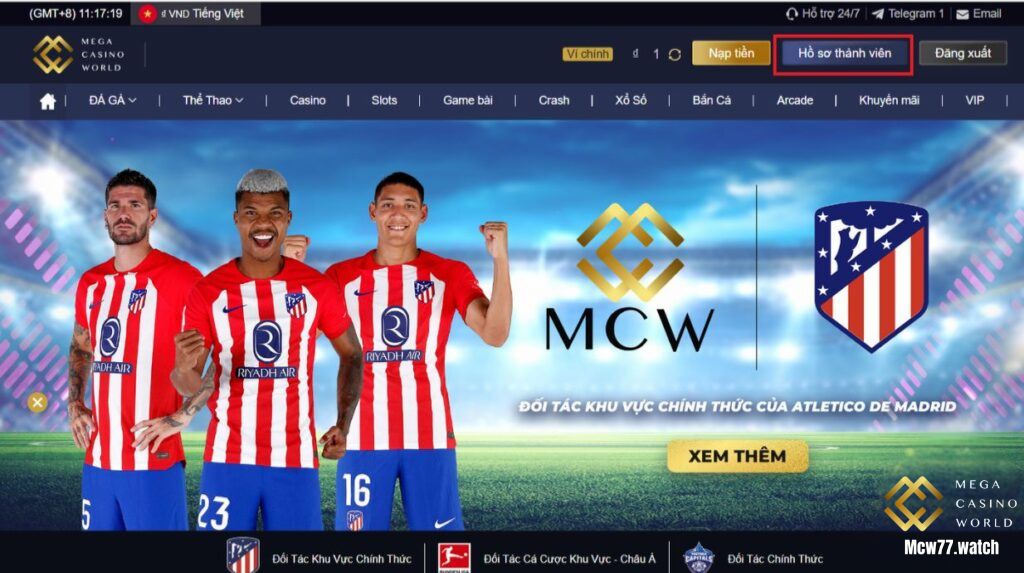 Giới thiệu tổng quan về MCW77